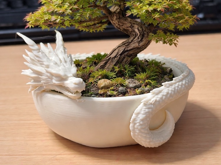 Dragon Bonsai Tree Pot