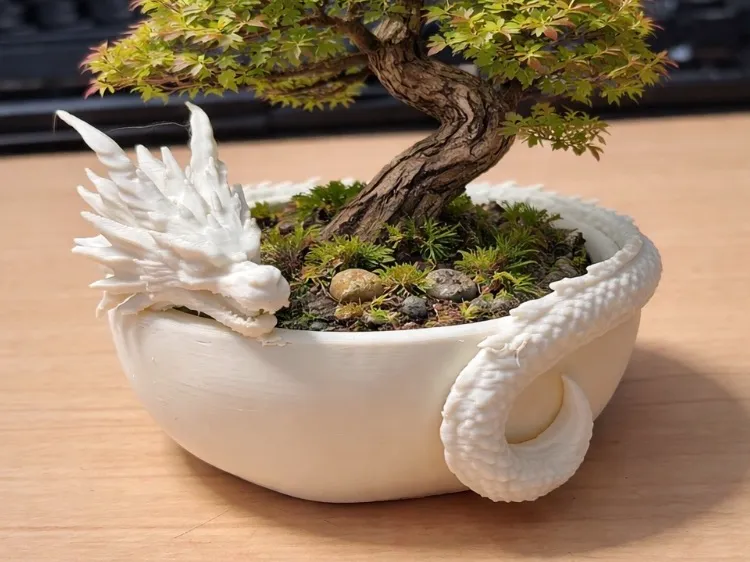 Dragon Bonsai Tree Pot