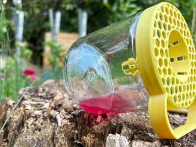 Selective asian hornet trap