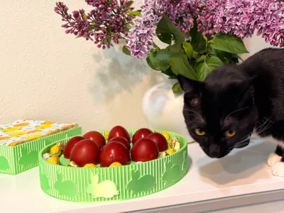 Bunny Egg Display & Candy Tray