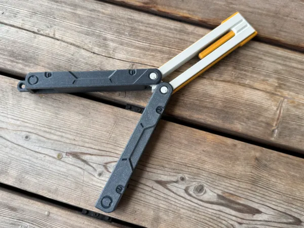 https://makerworld.bblmw.com/makerworld/model/US3f9e80bdb29064/design/2025-06-15_49822d81f6efa.jpg