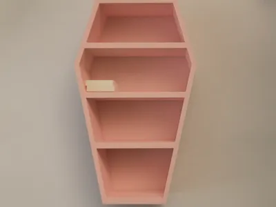 Mini Coffin Bookshelf