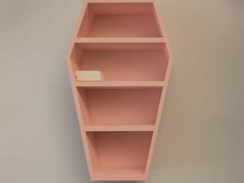 Mini Bibliothèque Cerceuil