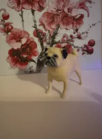 Pug