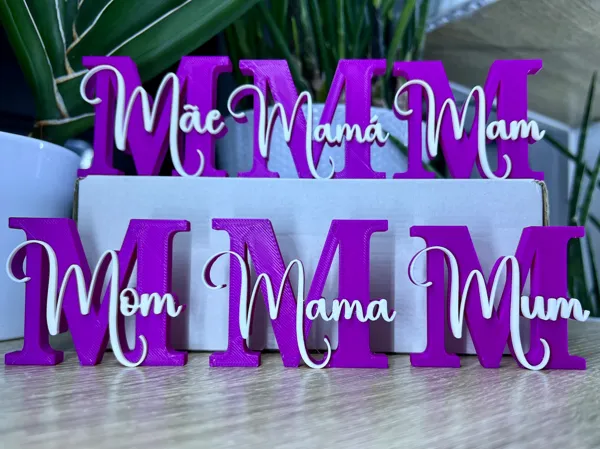 https://makerworld.bblmw.com/makerworld/model/US3fa60ca8c25638/design/2025-05-07_fc8a68106ce998.jpg