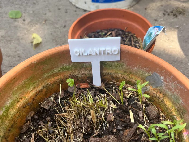 Garden Markers (Words Raised Up)