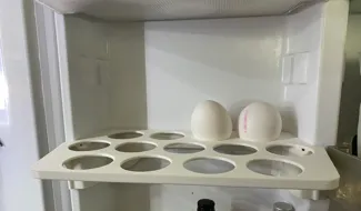 Egg tray holder - Samsung fridge MODEL: RLG3GQERS