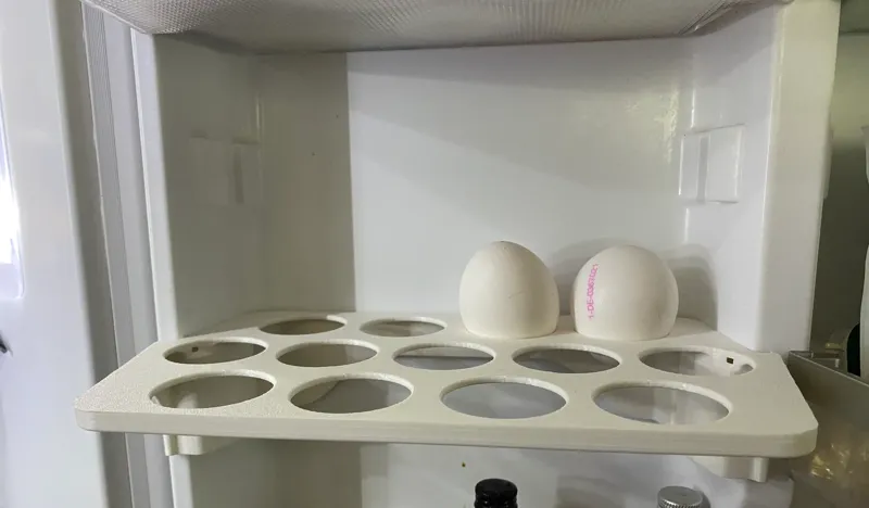 Egg tray holder - Samsung fridge MODEL: RLG3GQERS