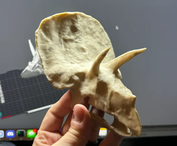 https://makerworld.bblmw.com/makerworld/model/US3fb0f51fa14a73/design/2024-11-11_9f41249215ba8.jpeg