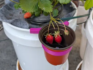 Vertical Planter Tower 5 Gallon Bucket Pot Holder