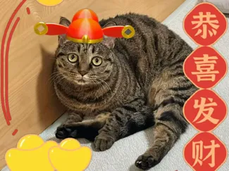 财神冠 “招财好运来“