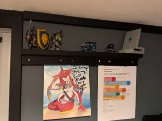 Gravity Poster Shelf