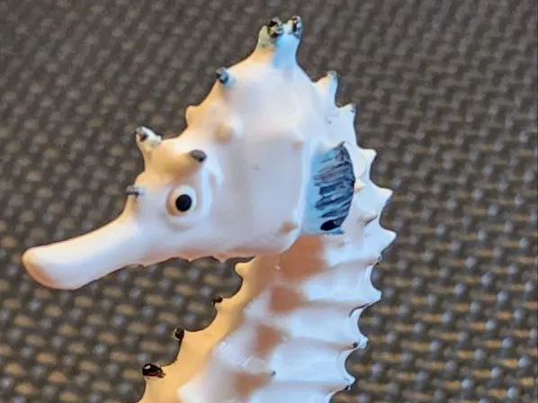 https://makerworld.bblmw.com/makerworld/model/US3fbaf670fcd13c/design/2025-08-17_538492b94d7748.jpg