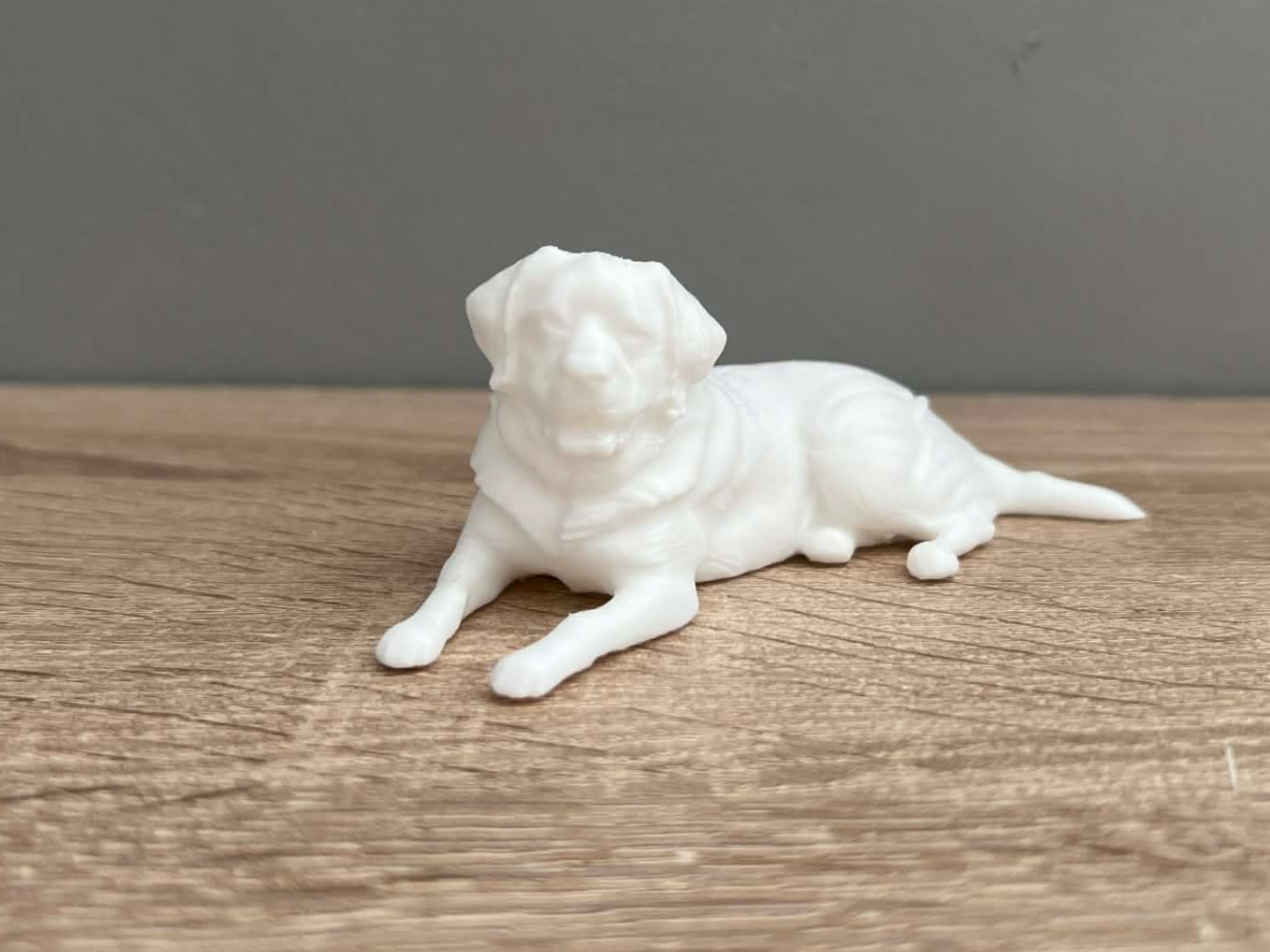St. Bernard / Saint Bernard dog - Animal - Decor