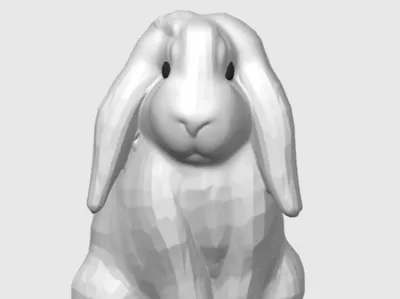 Cute Bunny