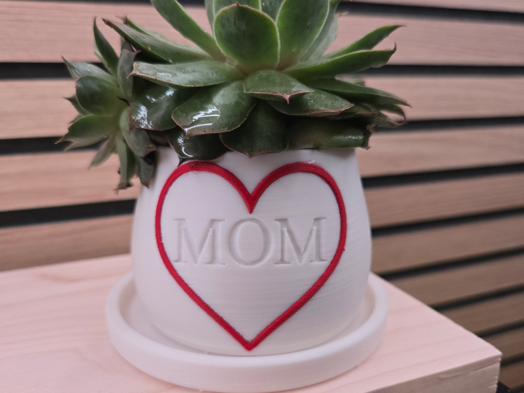 Succulent Pot for Mom