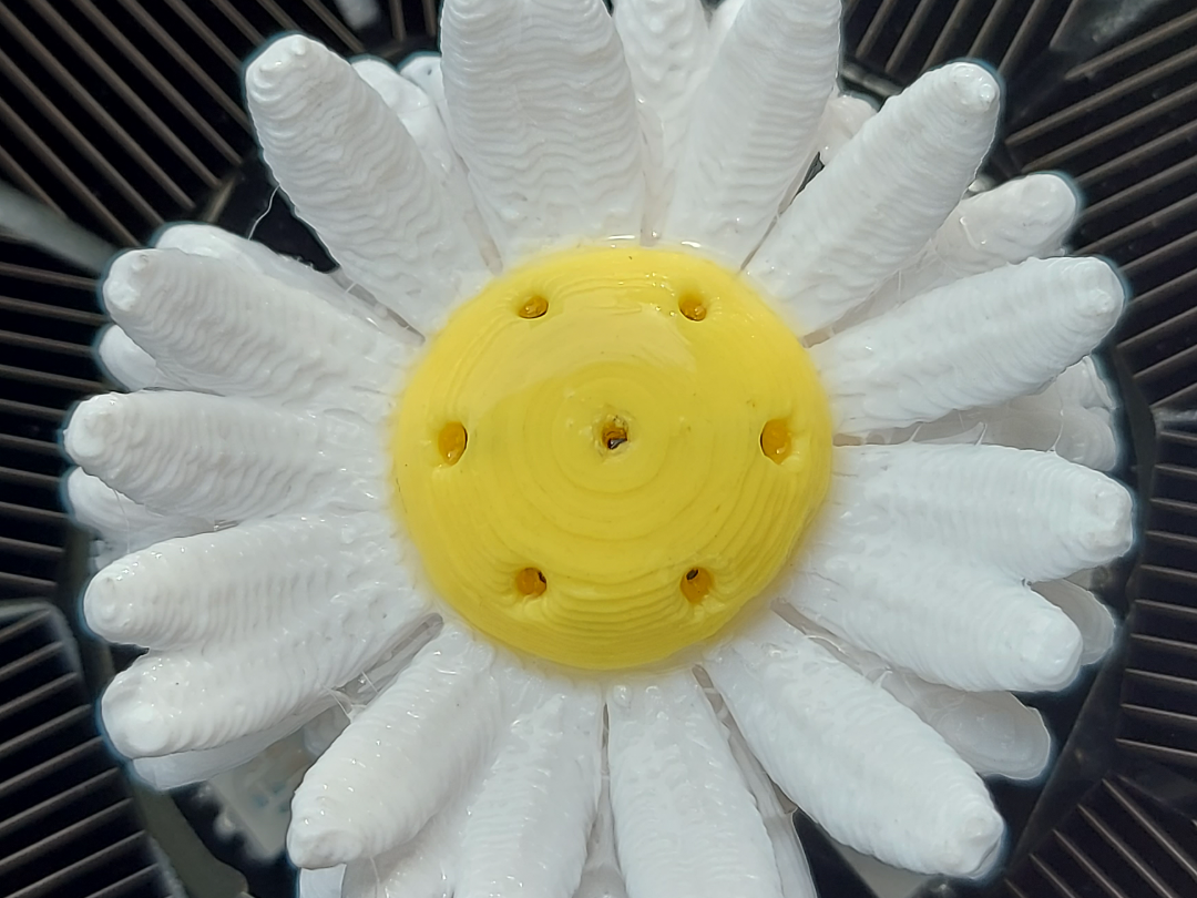 Gänseblümchen für Solarbrunnen