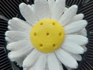 Gänseblümchen für Solarbrunnen