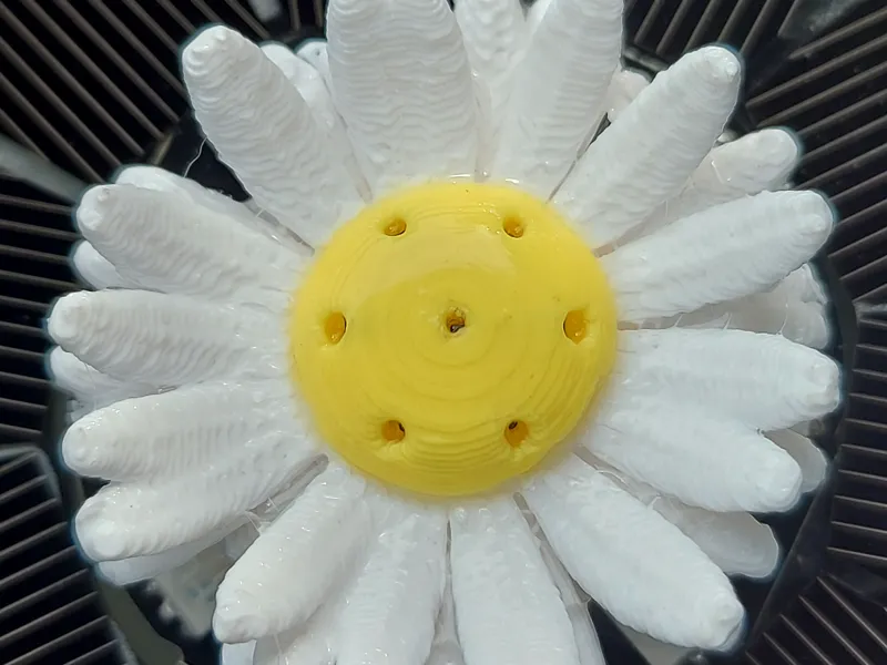 Gänseblümchen für Solarbrunnen