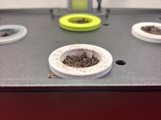 Hydroponik Pod