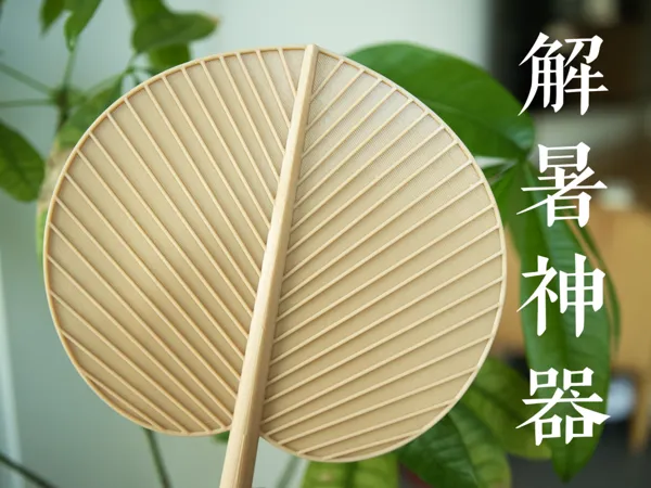 https://makerworld.bblmw.com/makerworld/model/US3fcccaed33a470/design/2025-06-10_e6fc40b834ee7.png