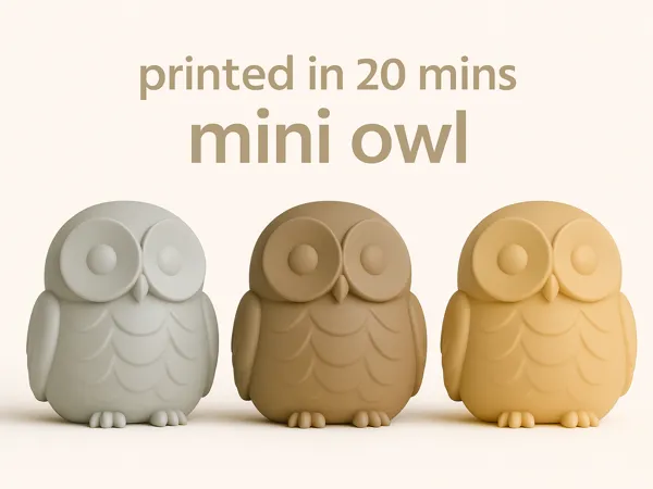 https://makerworld.bblmw.com/makerworld/model/US3fcd2558fcdded/design/2025-09-10_b350bdf3f7a318.png