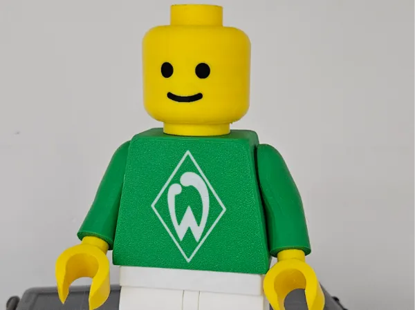 https://makerworld.bblmw.com/makerworld/model/US3fd02fe383c8f2/design/2025-04-22_dbc148ce075a.jpg