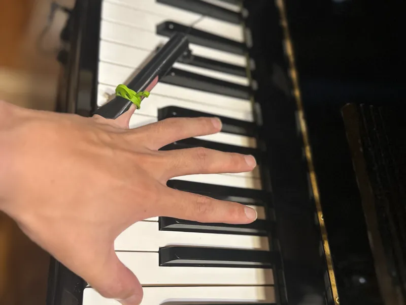 3D‑Printed Piano Key Reach Aid v0.6