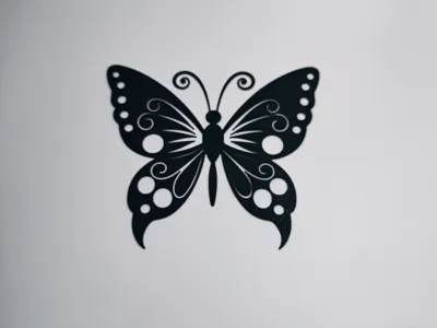 Butterfly Wall Art