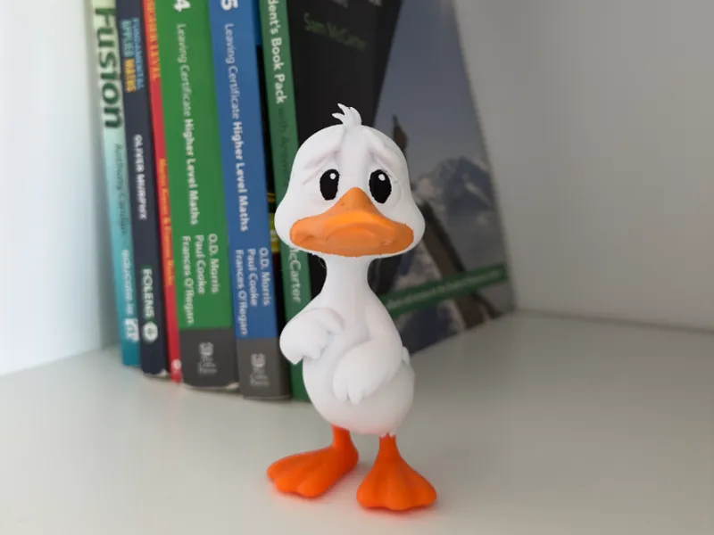 The Ugly Duckling