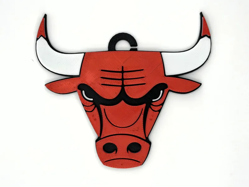 Chicago Bulls Pendant & Chain