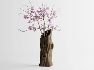 Vase Trunklin