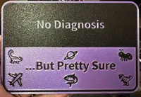 No Diagnosis - 0.2mm layer, 2 walls, 15% infill, Ironing OFF