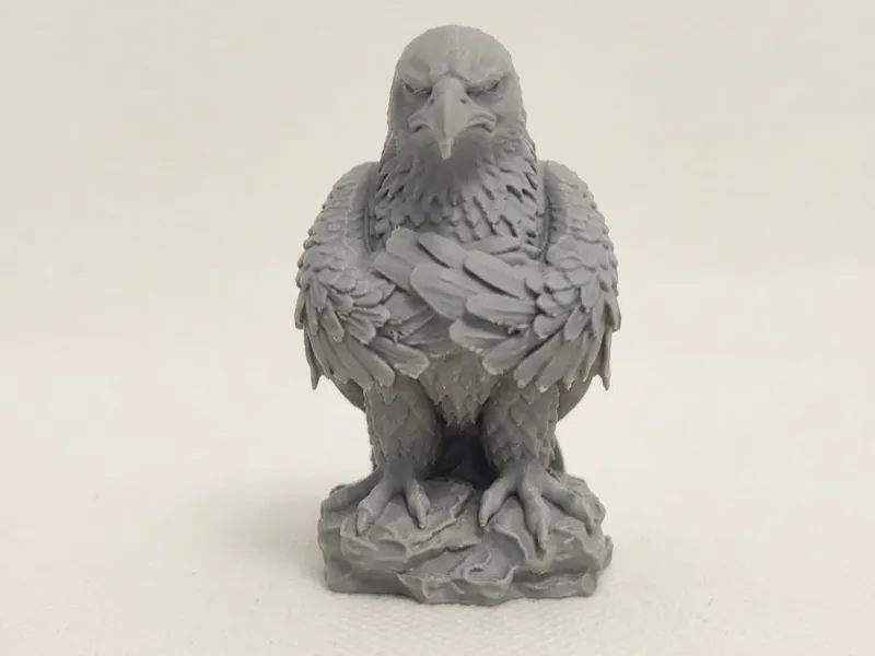 The Judgmental Eagle