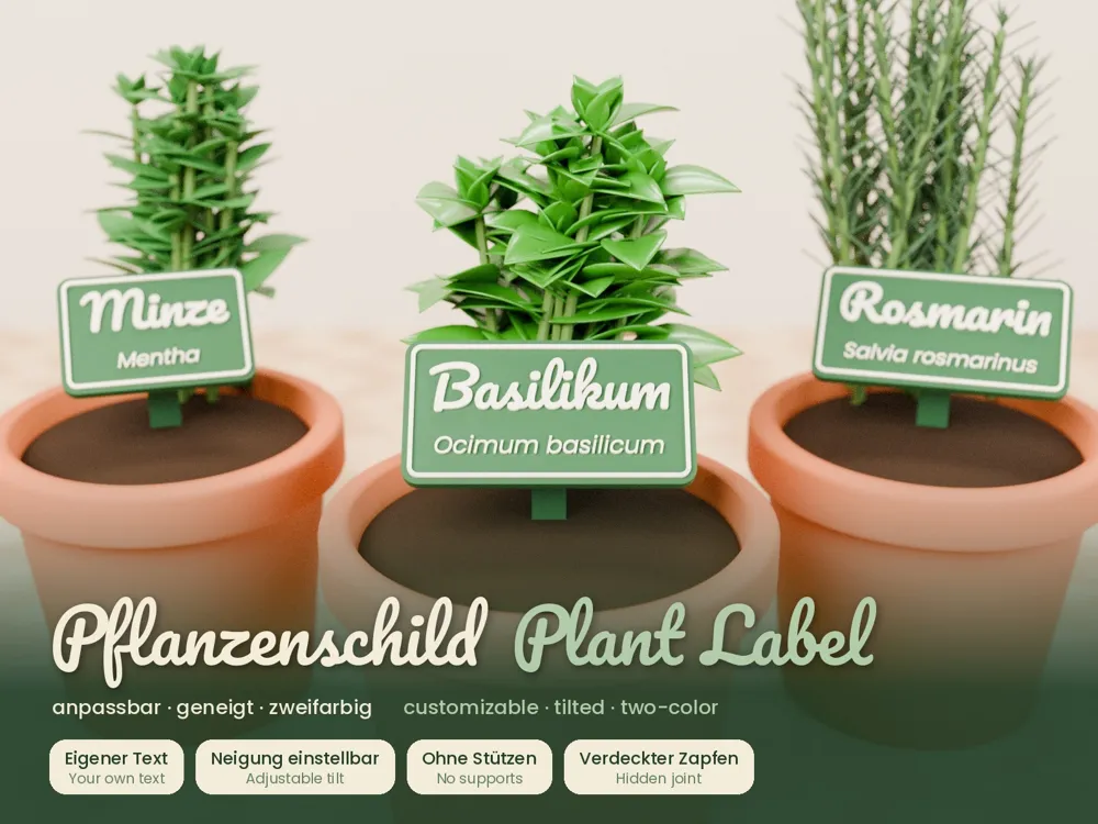 Etiqueta de planta personalizável – inclinada e bicolor - Modelo ...
