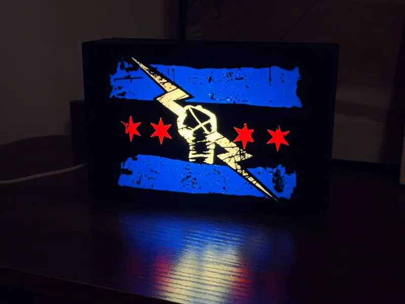 CM PUNK WWE Lightbox Wrestling