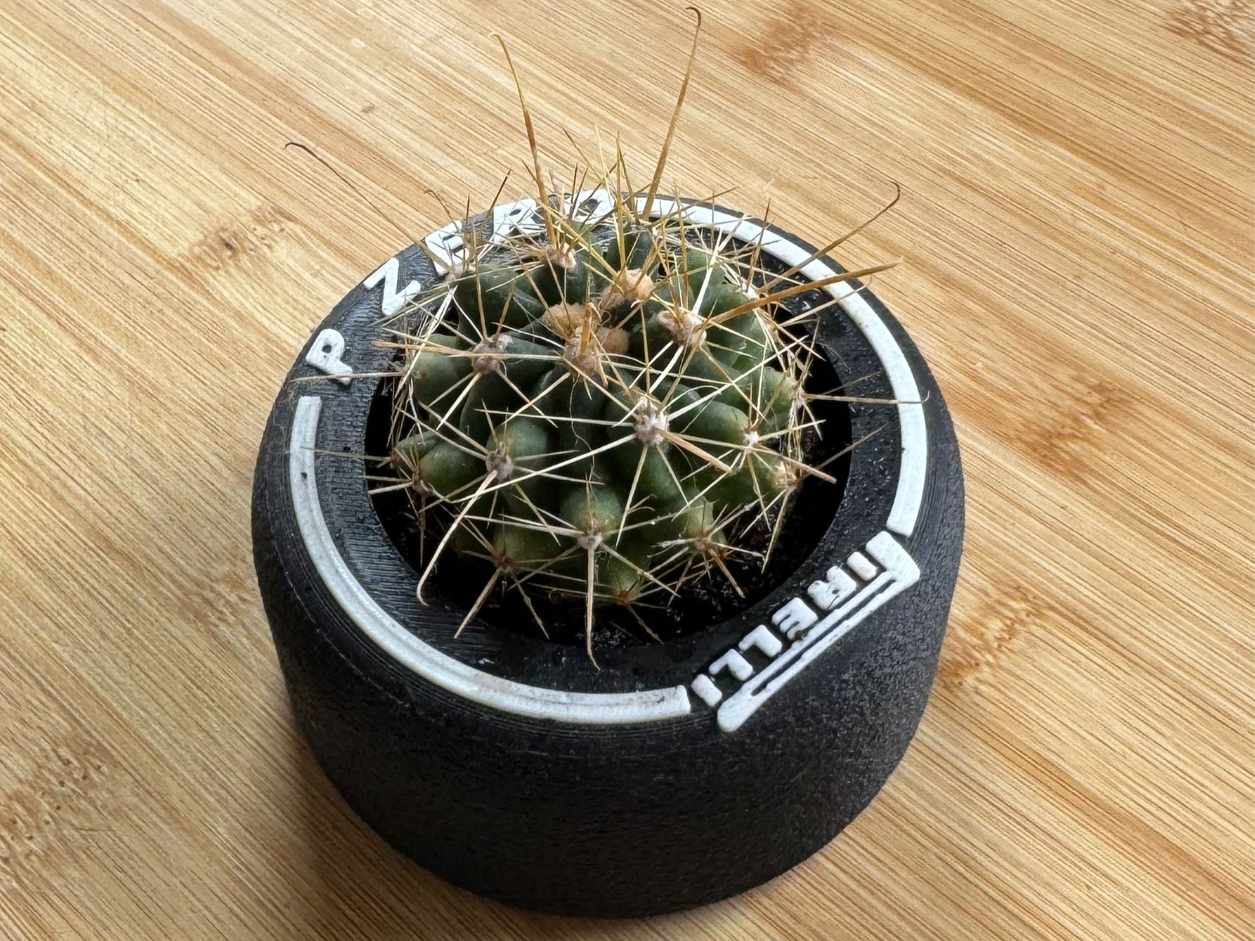 F1 Tyre Desk Planter