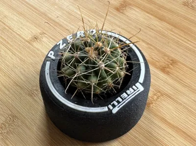 F1 Tyre Desk Planter
