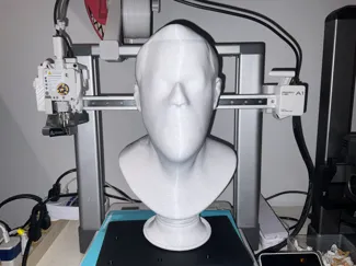 Ned singing bust