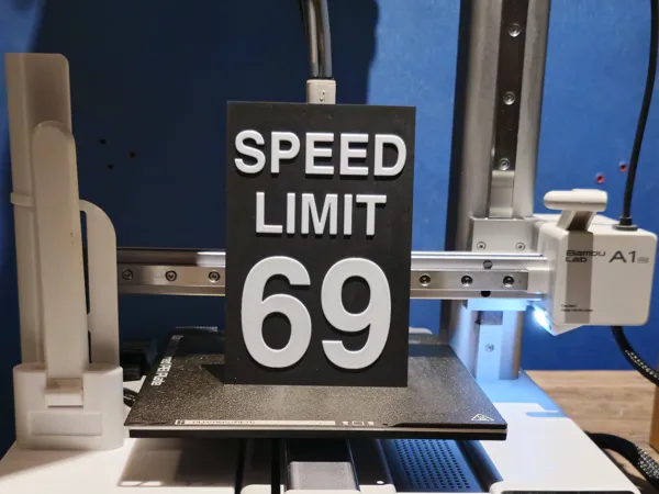 https://makerworld.bblmw.com/makerworld/model/US3fe8909485ec4b/design/2024-07-26_5238a296cb393.jpg