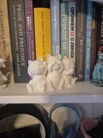 Trois chatons rigolos — photo 5