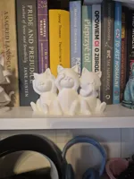 Trois chatons rigolos — photo 4