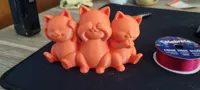 Trois chatons rigolos — photo 6