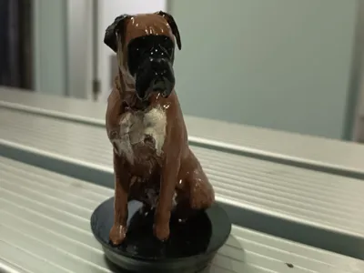 boxer dog breed