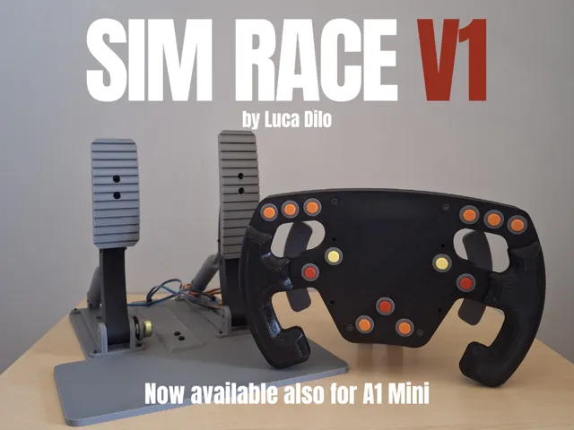 SIM RACE - Racing Simulator wheel and pedals