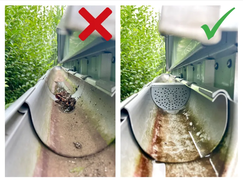 Rainwater recovery filter/filtre récupérteur d'eau