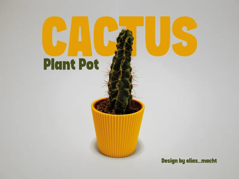 Cactus Plant Pot