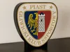 Piast Gliwice AMS