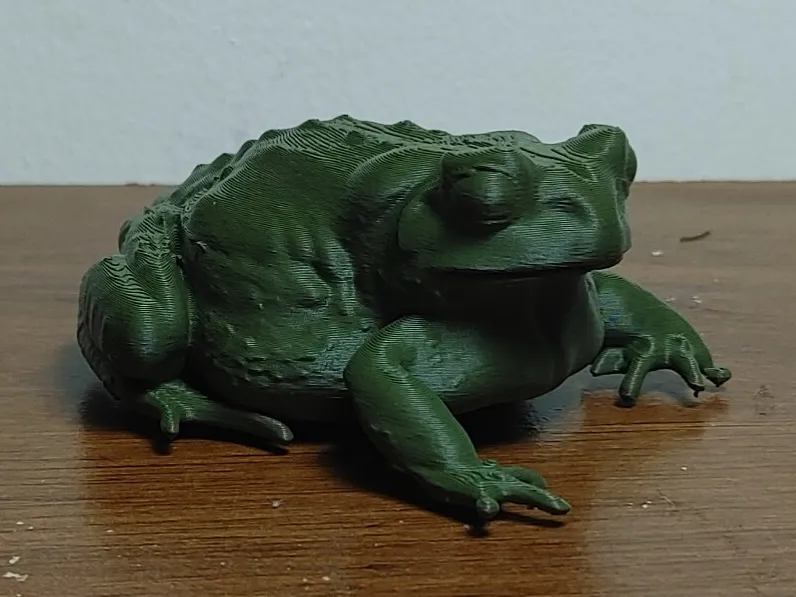 Toad