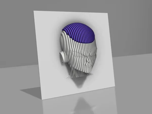 https://makerworld.bblmw.com/makerworld/model/US40014529c45725/design/2025-02-23_94ac25c6c79e28.png